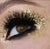 Premium - Femme Belle